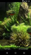 3D Fish Aquarium Wallpaper HD screenshot 4