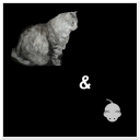 MCM Cat and Mouse Game Icon