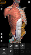 Anatomia - Atlante 3D screenshot 0