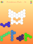 Tangram & Polyform Puzzle screenshot 13