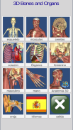 3D Bones and Organs (Anatomy) screenshot 0