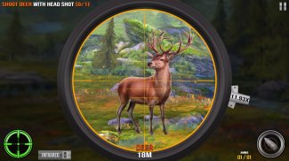 Animal Shooting Deer Hunting screenshot 1