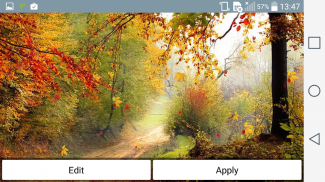 Falling Leaves Live Wallpaper screenshot 8