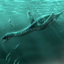 Plesiosaurus Simulator Icon