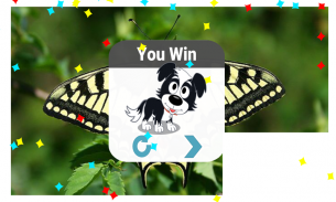 Butterfly Puzzle Jigsaw (Rompecabezas de mariposa) screenshot 3