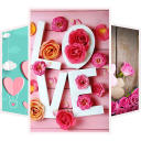 Love Pink Wallpaper Icon