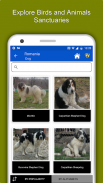 Romania Travel & Explore, Offl screenshot 12