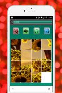 PuzzleMania Natur Pro screenshot 2