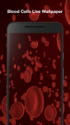 Blood Cells Live Wallpaper screenshot 3