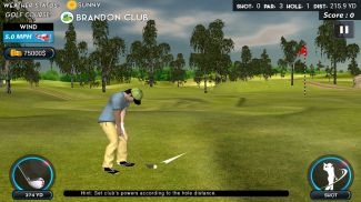 Real Star Golf Master 3D screenshot 0