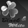 GO Launcher Theme Black White