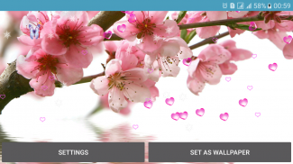 Flower Spring Live Wallpapers screenshot 4