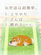 癒しの子犬育成ゲーム〜柴犬編〜 screenshot 6