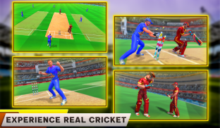 Indian Cricket League Game - T20 Cricket 2020 screenshot 11