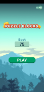 Amazing Blocks Casual Game screenshot 3