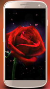 Roses live wallpaper. Beautiful roses for girls screenshot 6