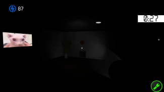 Five Nights At Floppa 2 screenshot 0