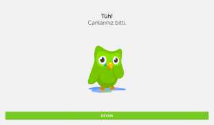 Duolingo: Dil Dersleri screenshot 8