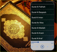 Maghfirah M Hussein Quran Mp3 screenshot 3