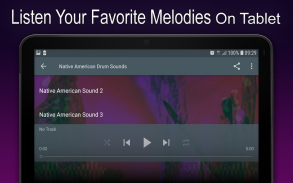 Native American Drum Sounds screenshot 0