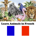 Learn Animals in French Icon