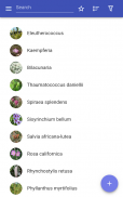 Medicinal herbs screenshot 9