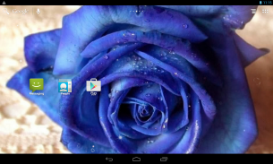 Hoa hồng xanh biếc screenshot 10