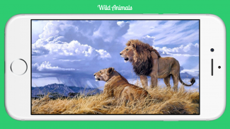 Wild Animals screenshot 5