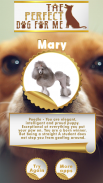 What's The Perfect Dog For Me? screenshot 2