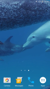 Дельфины Живые Обои screenshot 4