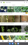 Pl@ntNet plantenidentificatie screenshot 1