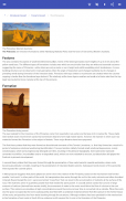 Desert screenshot 9