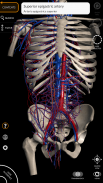 Anatomy 3D Atlas screenshot 13