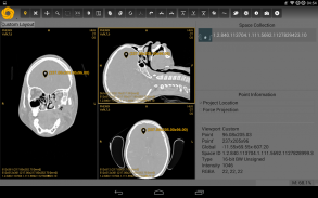 Symmetry DICOM screenshot 11