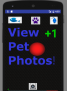 Cat Laser Toy screenshot 3