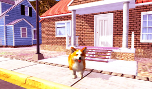 Corgi Dog Simulator screenshot 12