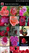 Rosas con Amor screenshot 1