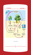 Biology 12 Punjab Textbook (Offline) screenshot 6
