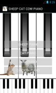 SHEEP CAT BIRD PIANO screenshot 1