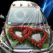 Wedding Car Decoration screenshot 13