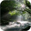 Flowing Stream Live Wallpaper Icon