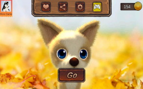 Chihuahua Dog Simulator screenshot 17