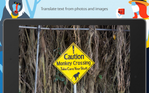 Yandex.Translate – tradutor offline e dicionário screenshot 8