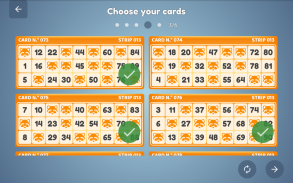Bingo Set screenshot 13