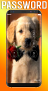 Golden Retriever Lock Screen screenshot 2