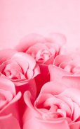 Pink Rose Live Wallpaper screenshot 4