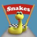 Snake Way 3D: Adventure Run Icon