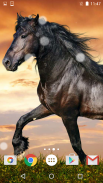 Horses Live Wallpaper HD screenshot 1