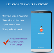 Nervous System Anatomy - Atlas screenshot 3