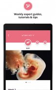 Pregnancy & Baby Development Tracker: Preglife screenshot 4